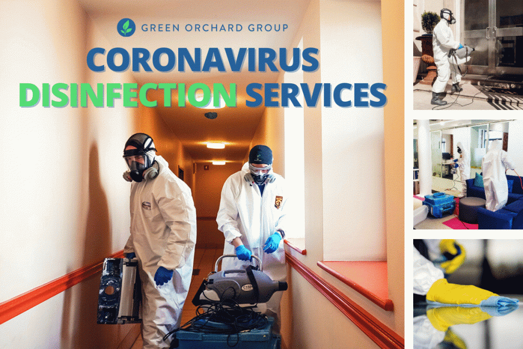 Green Orchard Group coronavirus disinfection services. A Green Orchard Group team disinfects multiple business' and homes using electrostatic fogging and other strategies. 