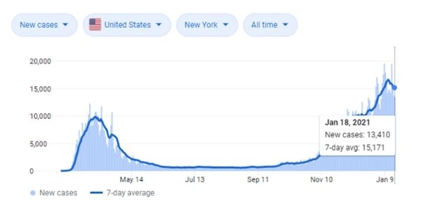 Graph displays Covid-19 cases from the start of the pandemic through January 2021 in NYC; showing a peak in April 2020 and another peak in January 2021.