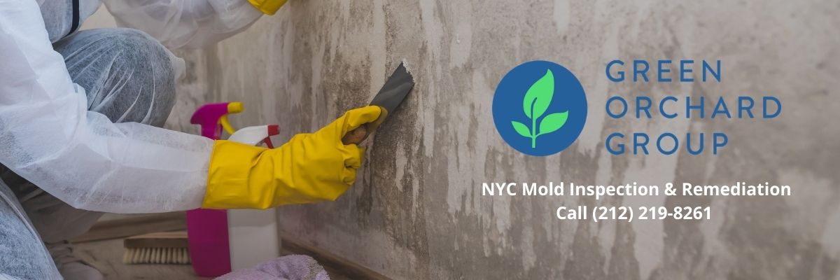 Green Orchard Group provides mold inspection and remediation. 