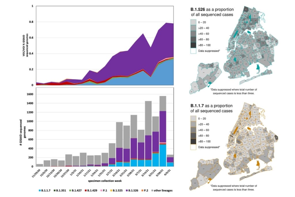 This graphic shows that the NYC and UK variants are both increasing in all 5 boroughs. 