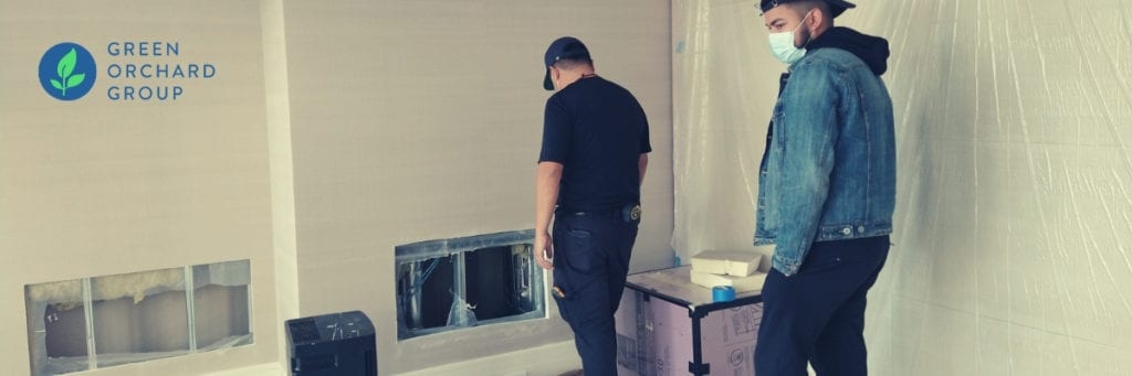 Green Orchard Group team members inspect a home for black mold. 