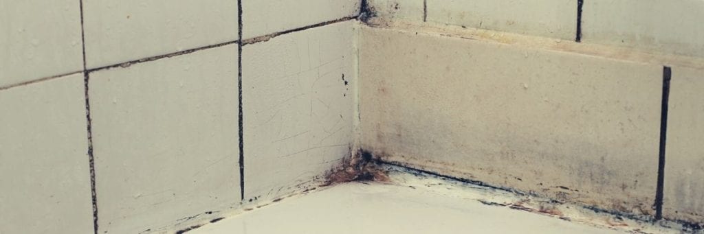 Mold grows in the grout between the tile and bathtub.