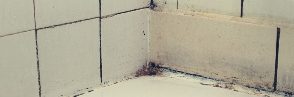 Mold grows in the grout between the tile and bathtub. 