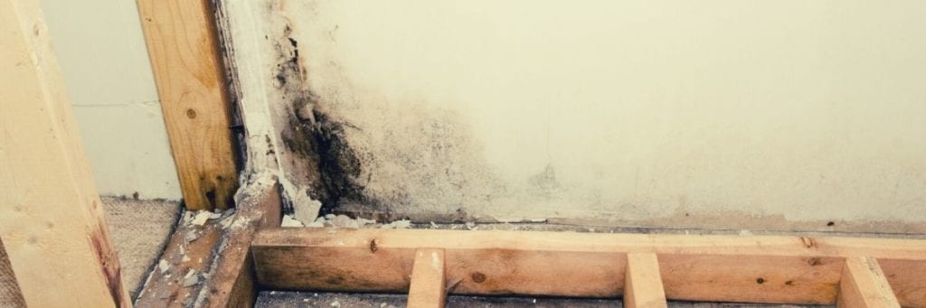 A section of drywall and wood are contaminated with mold, bleach should not be used to clean these areas. 