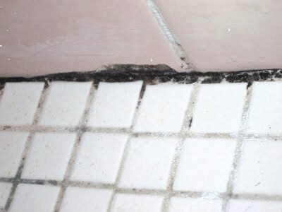 Black mold growing on the grout in a bathroom. 