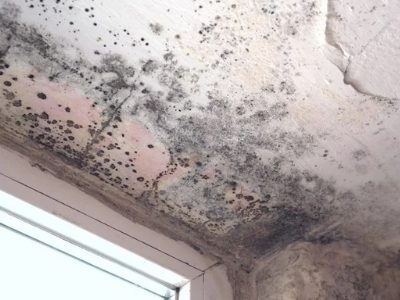 Black mold spreading on a ceiling near a door where moisture has accumulated.  