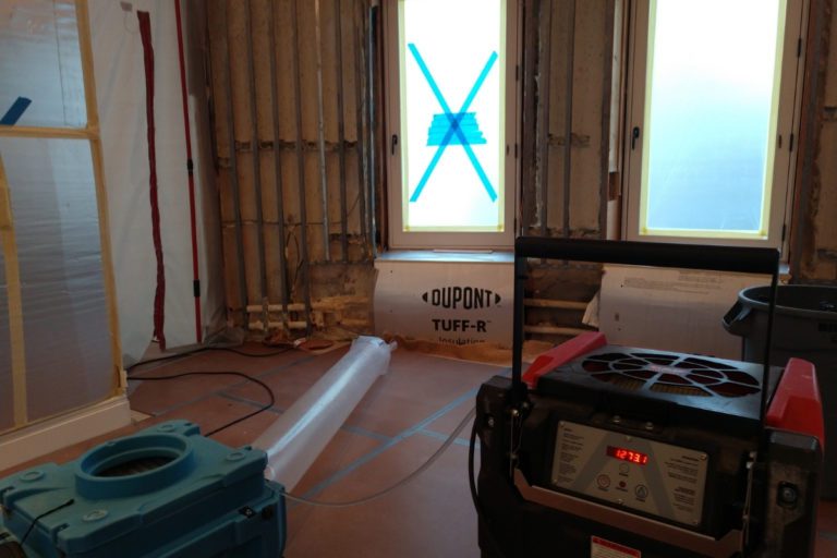 How Fast Does Mold Grow After a Water Leak?